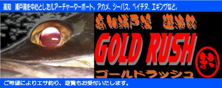 高知　浦戸湾　遊漁船GOLD RUSH