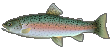 Lancru Fish